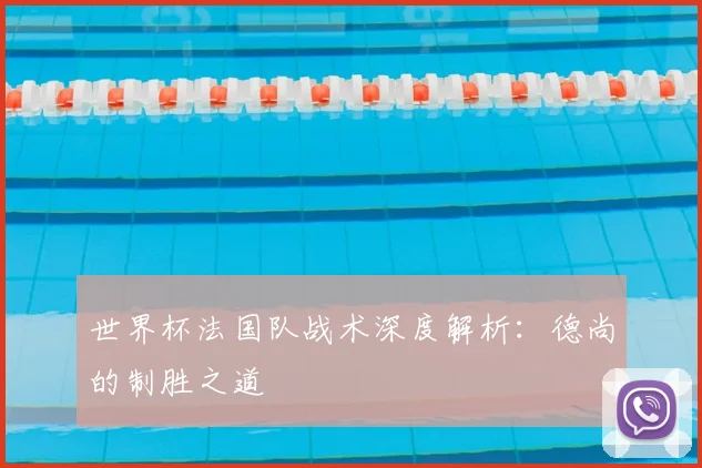 世界杯法国队战术深度解析:德尚的制胜之道