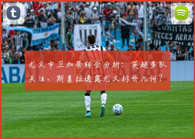 尤文中卫加蒂转会分析：英超多队关注，斯基拉透露尤文标价几何？