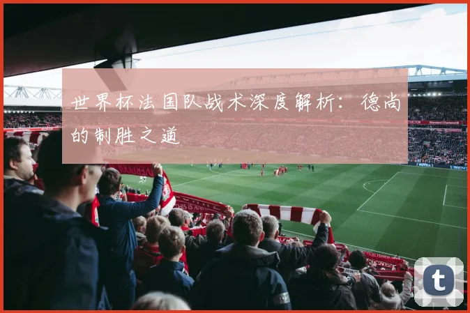 世界杯法国队战术深度解析:德尚的制胜之道