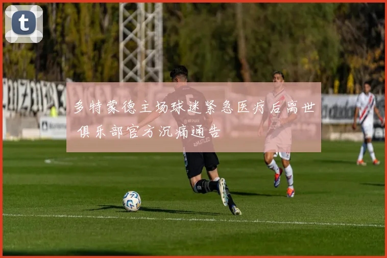多特蒙德主场球迷紧急医疗后离世 俱乐部官方沉痛通告
